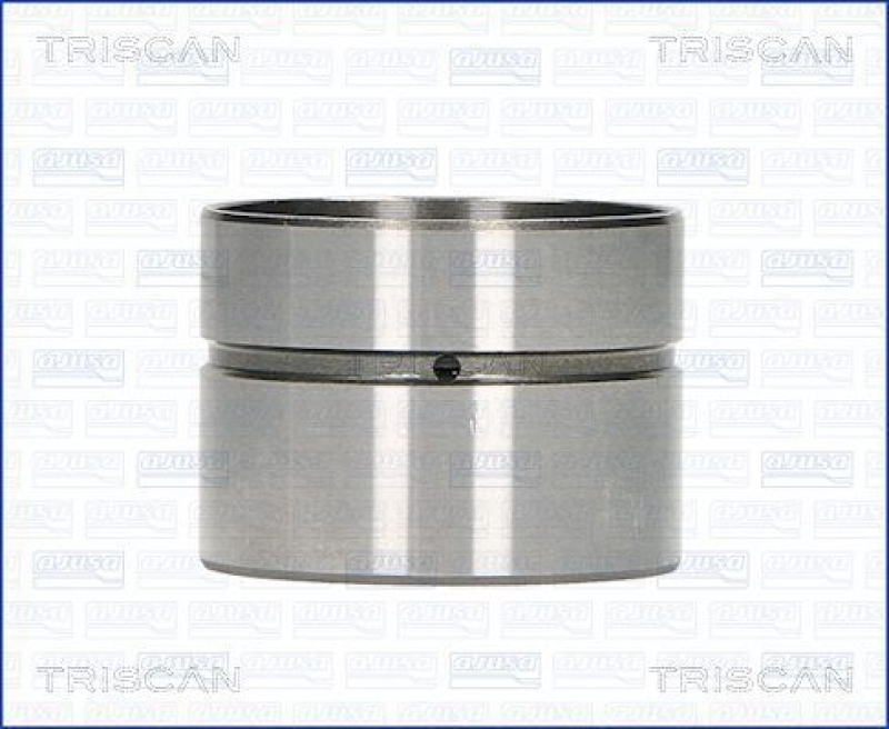 TRISCAN 80-29003 Ventilstößel