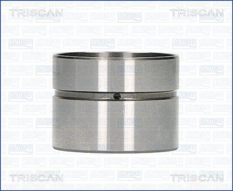 TRISCAN 80-29003 Ventilstössel für Volkswagen (Q Pris 5060)