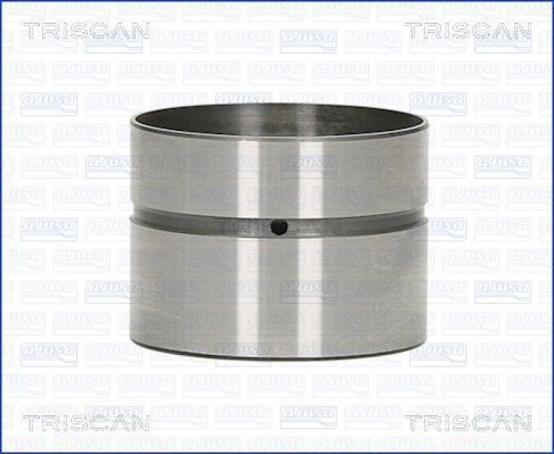 TRISCAN 80-29007 Ventilstössel für Vw