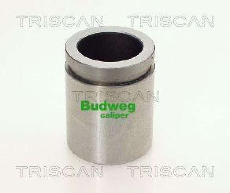 TRISCAN 8170 233843 Kolben f&uuml;r Hyundai