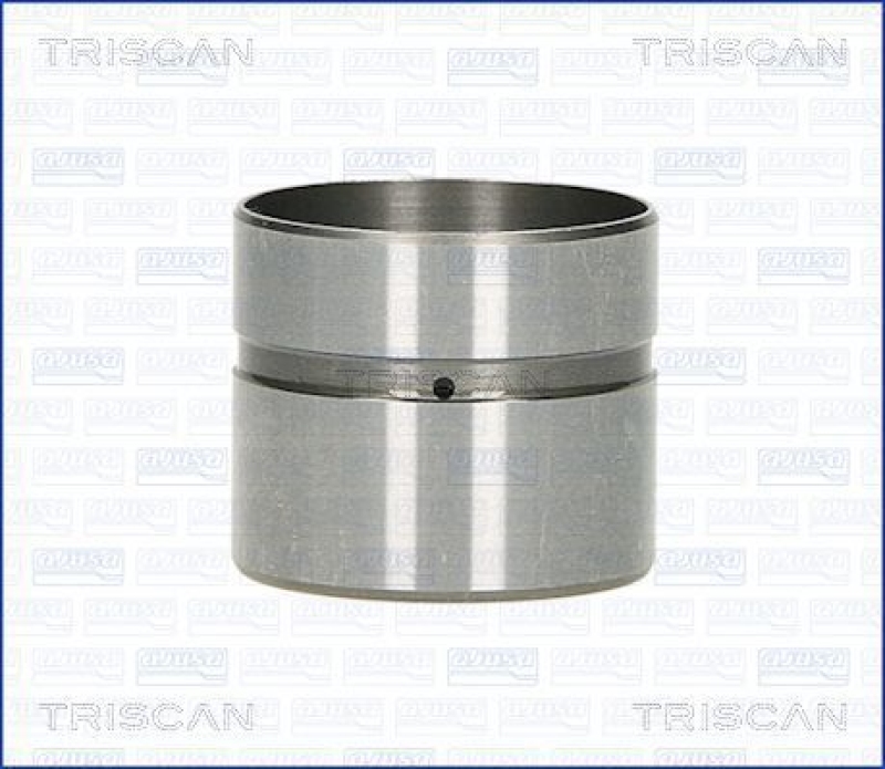 TRISCAN 80-43002 Ventilstössel für Hyundai