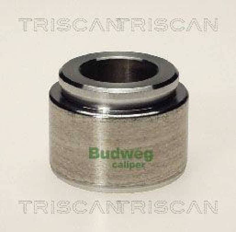 TRISCAN 8170 234003 Kolben f&uuml;r Bmw