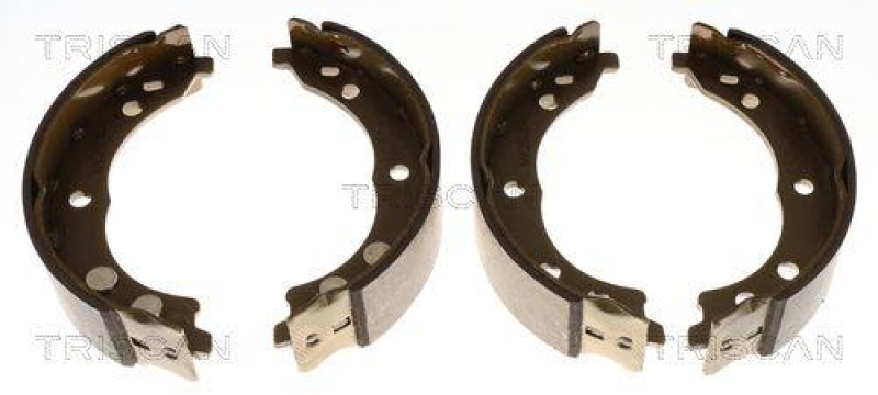 TRISCAN 8100 10010 Bremsbacken, Feststellbremse f&uuml;r Citroen, Fiat, Peugeot