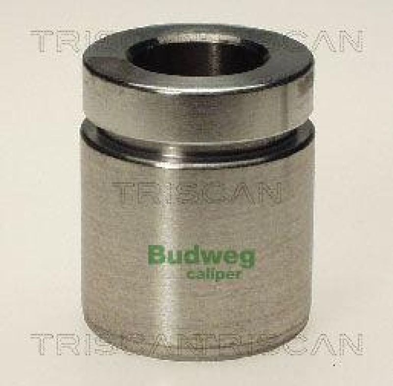 TRISCAN 8170 234020 Kolben f&uuml;r Bmw