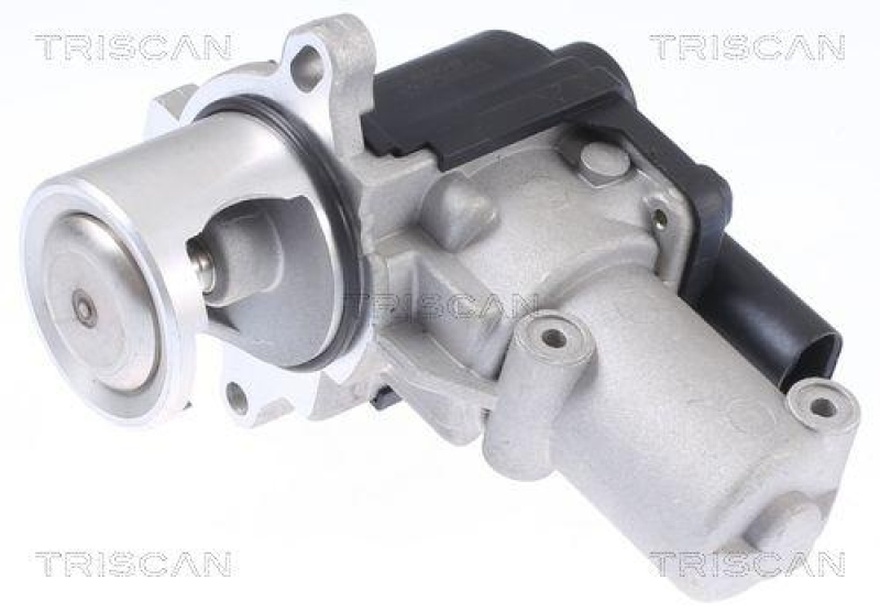 TRISCAN 8813 29310 Agr Ventil f&uuml;r Vw Transporter