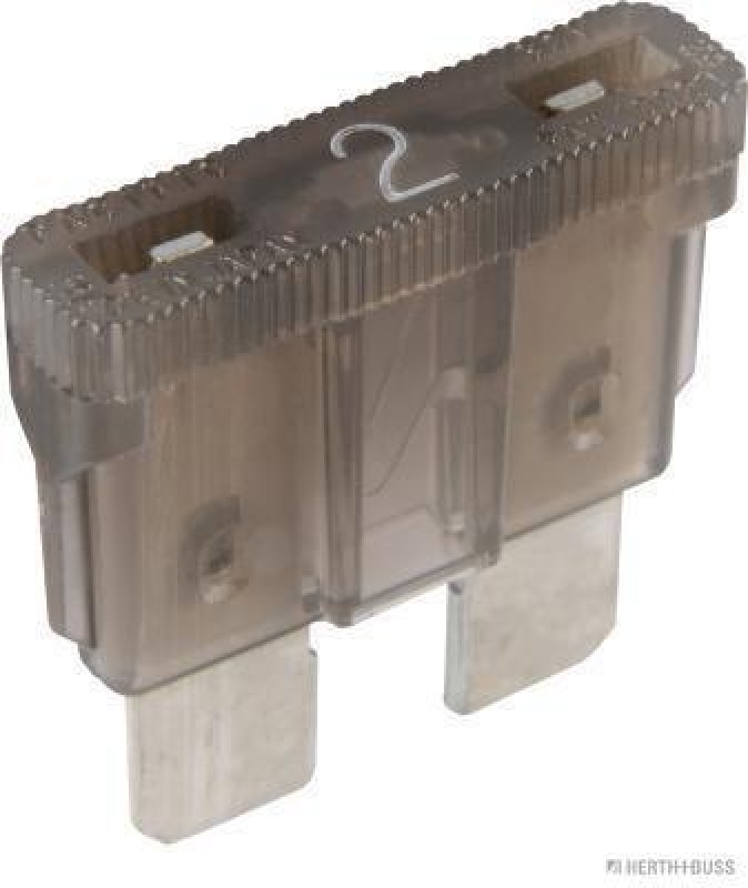 HERTH+BUSS 50295402 Sicherung Standard, 2 A