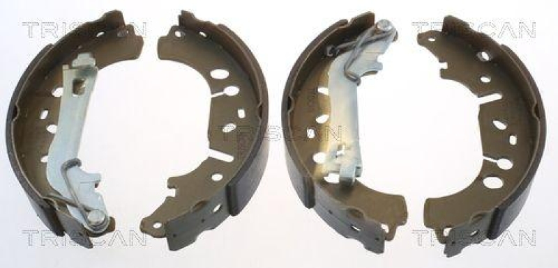 TRISCAN 8100 10012 Bremsbacken f&uuml;r Fiat, Opel