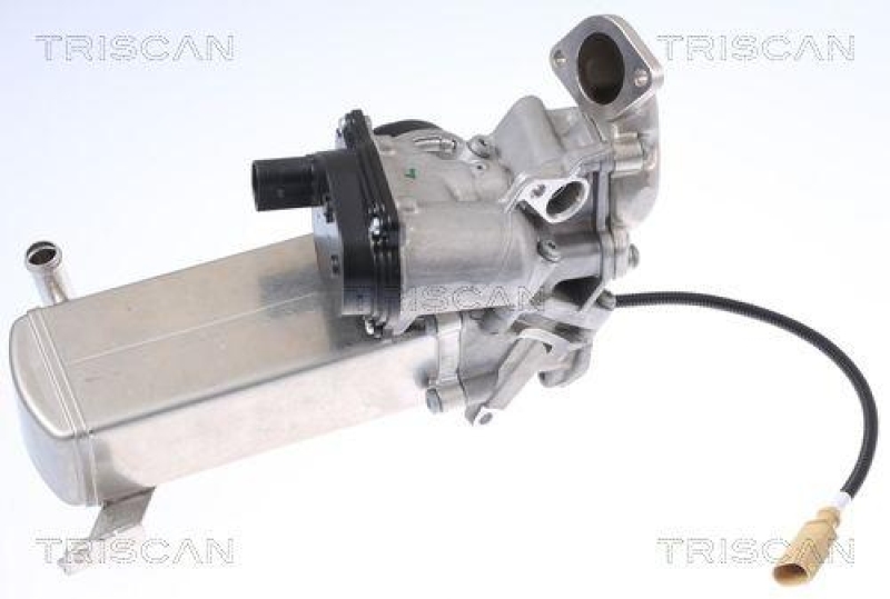 TRISCAN 8813 29327 Agr Ventil f&uuml;r Audi Q7