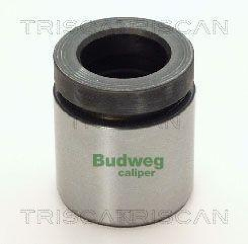 TRISCAN 8170 234219 Kolben f&uuml;r Bmw