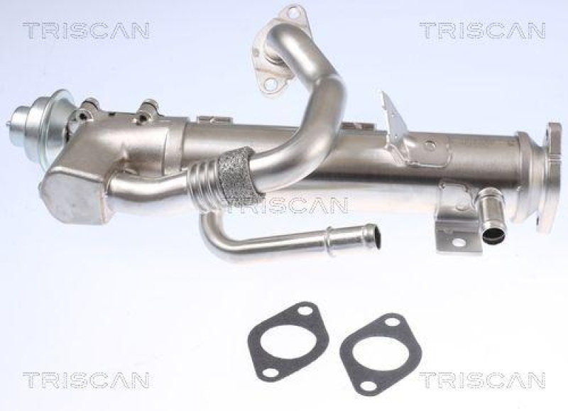 TRISCAN 8813 29329 K&uuml;hler, Abgasr&uuml;ckf&uuml;hrung f&uuml;r Volkswagen, Seat