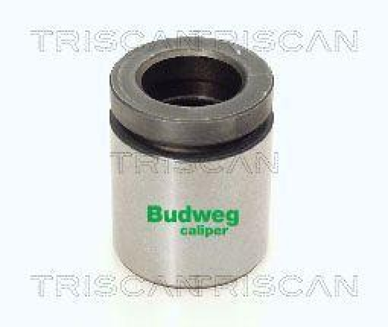 TRISCAN 8170 234221 Kolben f&uuml;r Bmw