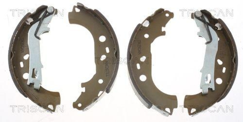 TRISCAN 8100 10028 Bremsbacken f&uuml;r Fiat, Psa