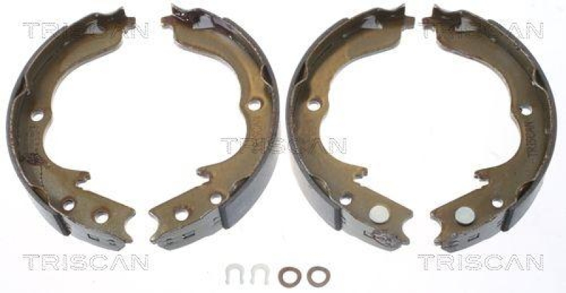 TRISCAN 8100 10029 Bremsbacken, Feststellbremse f&uuml;r Mitsubishi, Psa