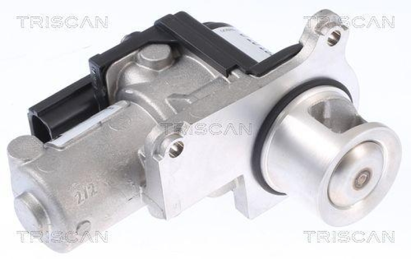 TRISCAN 8813 29339 Agr Ventil f&uuml;r Vw