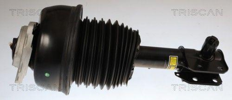 TRISCAN 8750 23112 Spiralfeder Hinten