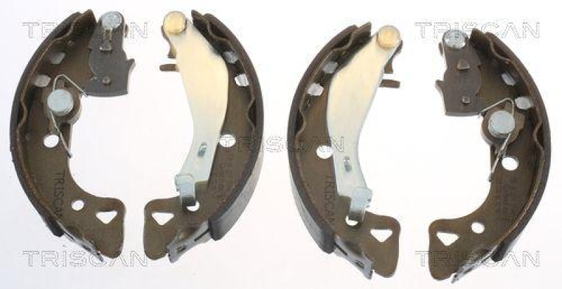 TRISCAN 8100 10488 Bremsbacken f&uuml;r Citroen Ax