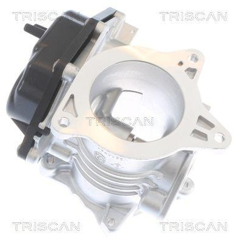 TRISCAN 8813 29348 Agr Ventil f&uuml;r Vw