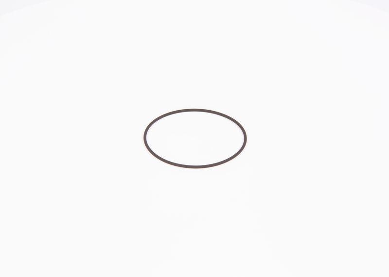 BOSCH F 01M 100 371 Dichtring