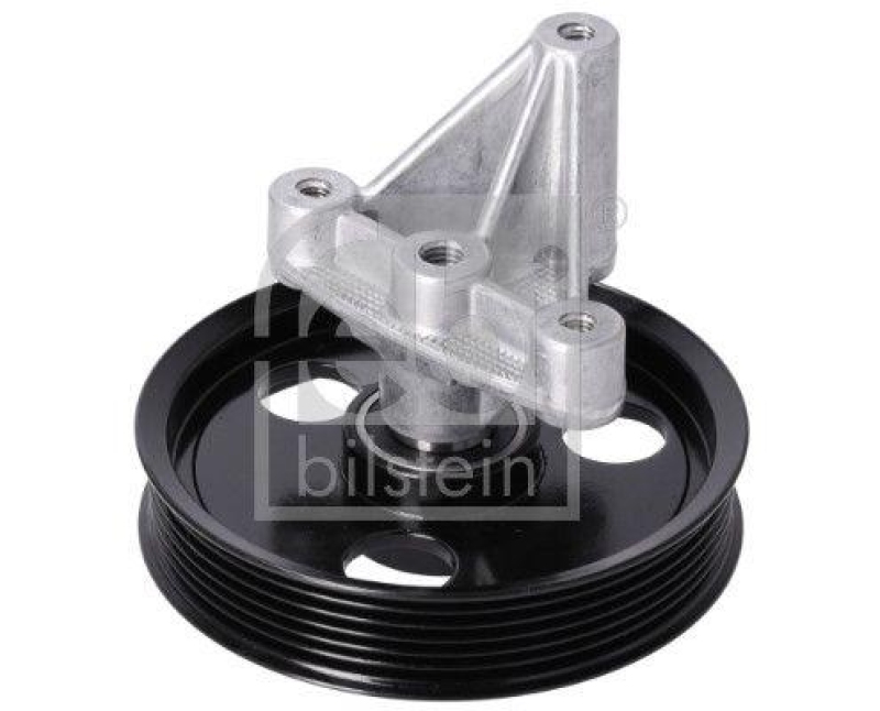 FEBI BILSTEIN 28287 Umlenkrolle mit Halter, für Keilrippenriemen für Dacia