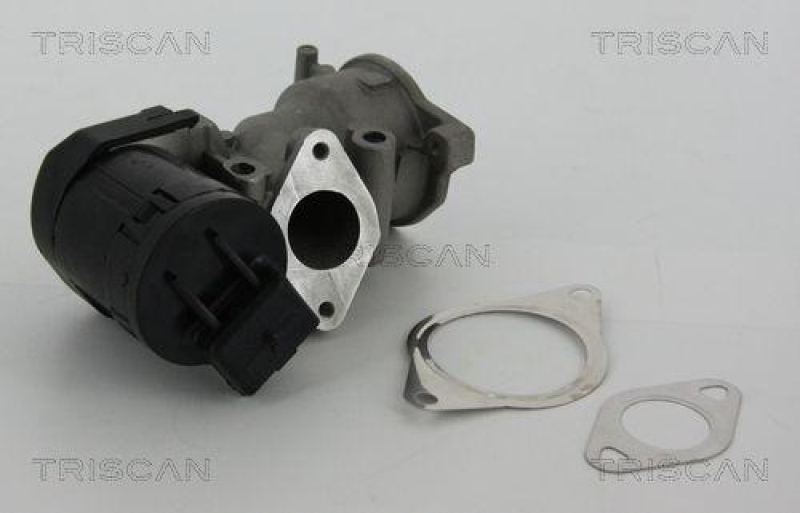 TRISCAN 8813 10001 Agr Ventil f&uuml;r Ford/Volvo/Mazda