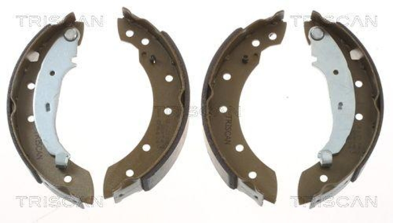 TRISCAN 8100 10572 Bremsbacken f&uuml;r Citroen, Peugeot, Renault