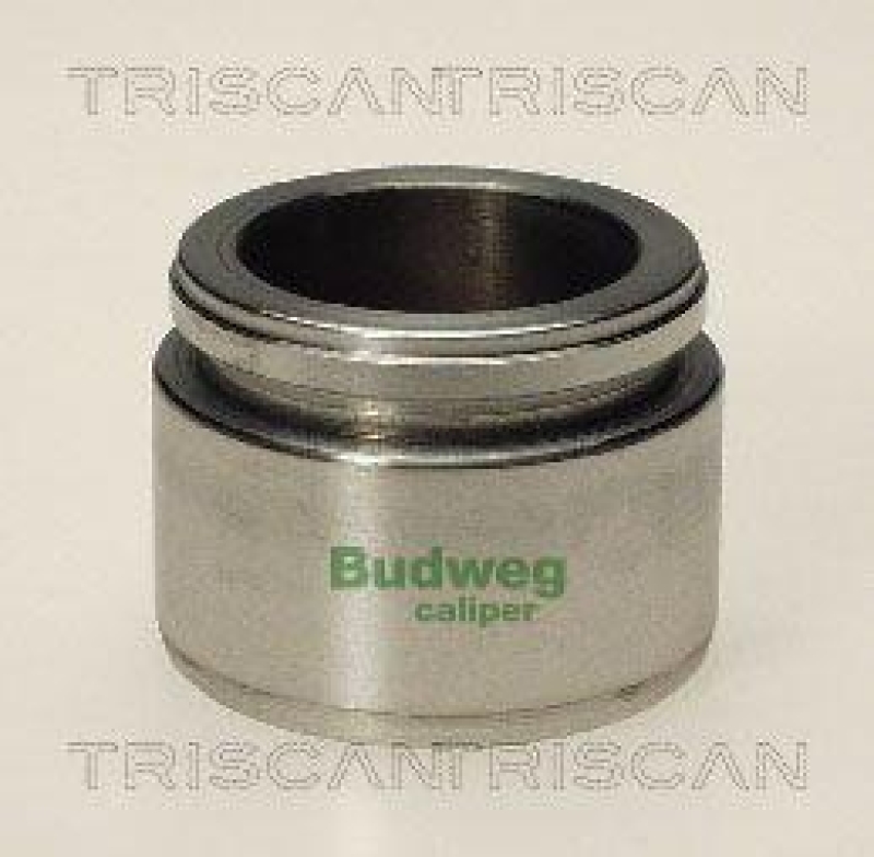 TRISCAN 8170 234413 Kolben f&uuml;r Bmw