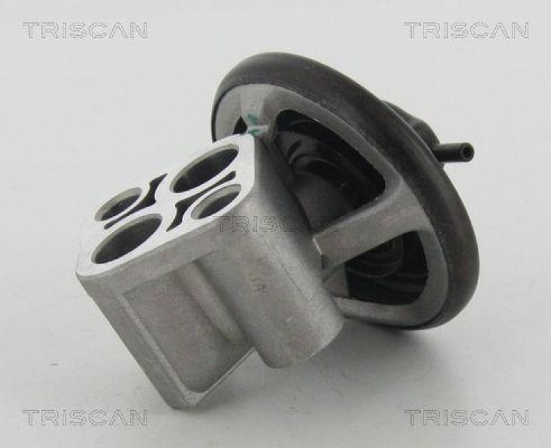 TRISCAN 8813 43007 Agr Ventil f&uuml;r Hyundai/Kia