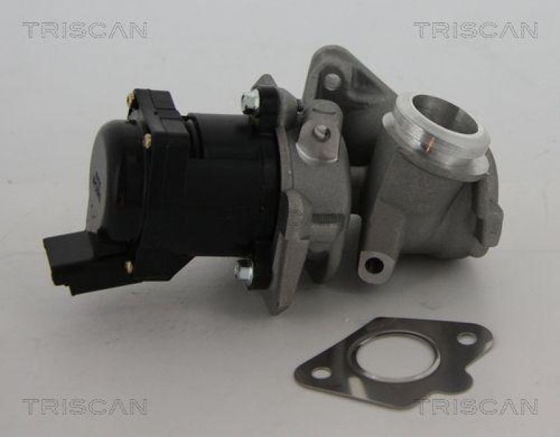 TRISCAN 8813 10010 Agr Ventil f&uuml;r Psa/Fiat/Gm