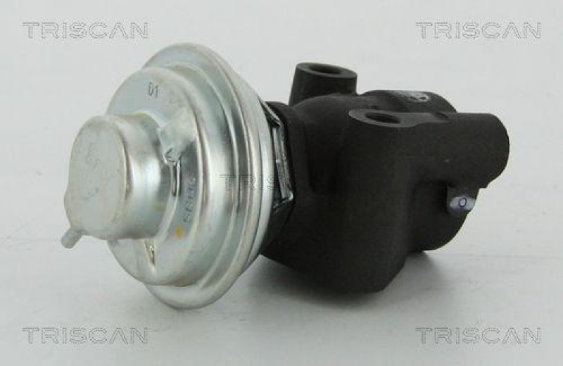 TRISCAN 8813 43016 Agr Ventil f&uuml;r Hyundai/Kia