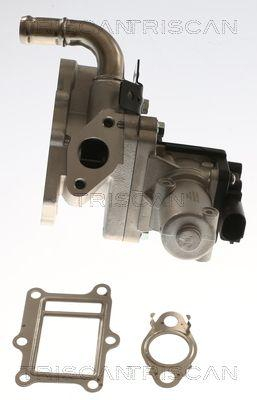 TRISCAN 8813 43017 Agr Ventil f&uuml;r Hyundai, Kia