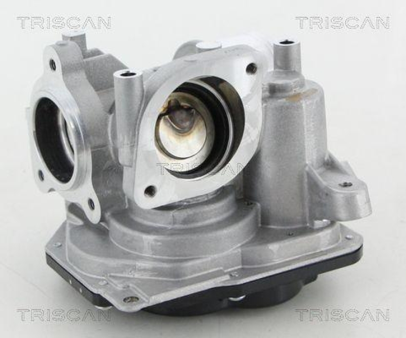 TRISCAN 8813 10031 Agr Ventil f&uuml;r Alfa, Fiat