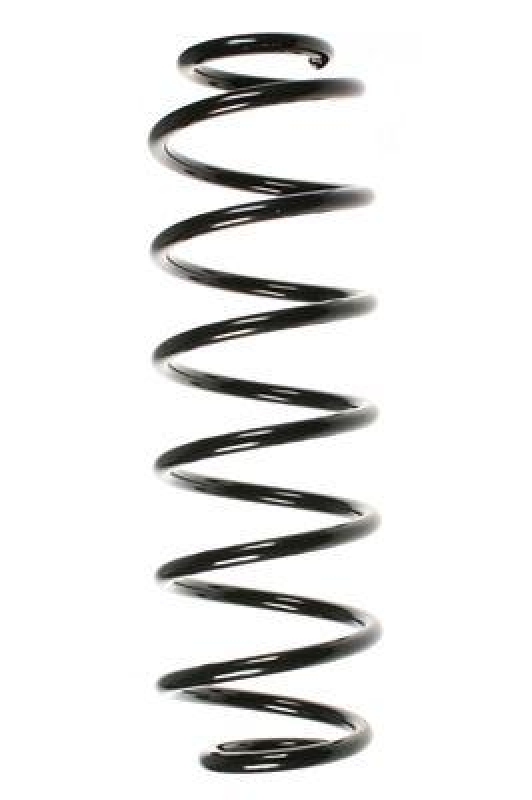 SPIDAN 49546 Fahrwerksfeder