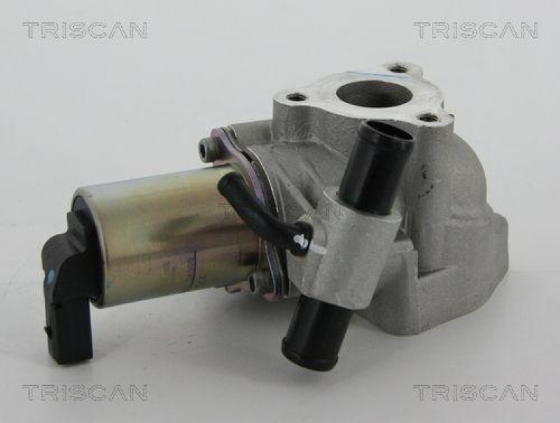 TRISCAN 8813 43020 Agr Ventil f&uuml;r Hyundai/Kia
