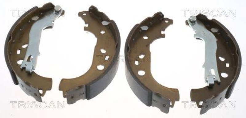 TRISCAN 8100 15021 Bremsbacken f&uuml;r Fiat Idea, Lancia Musa