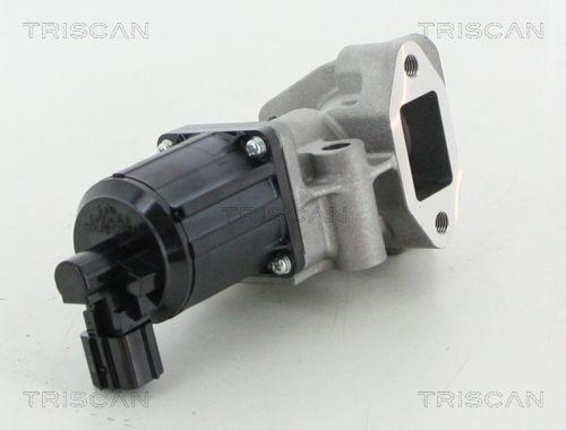 TRISCAN 8813 43025 Agr Ventil f&uuml;r Hyundai/Kia