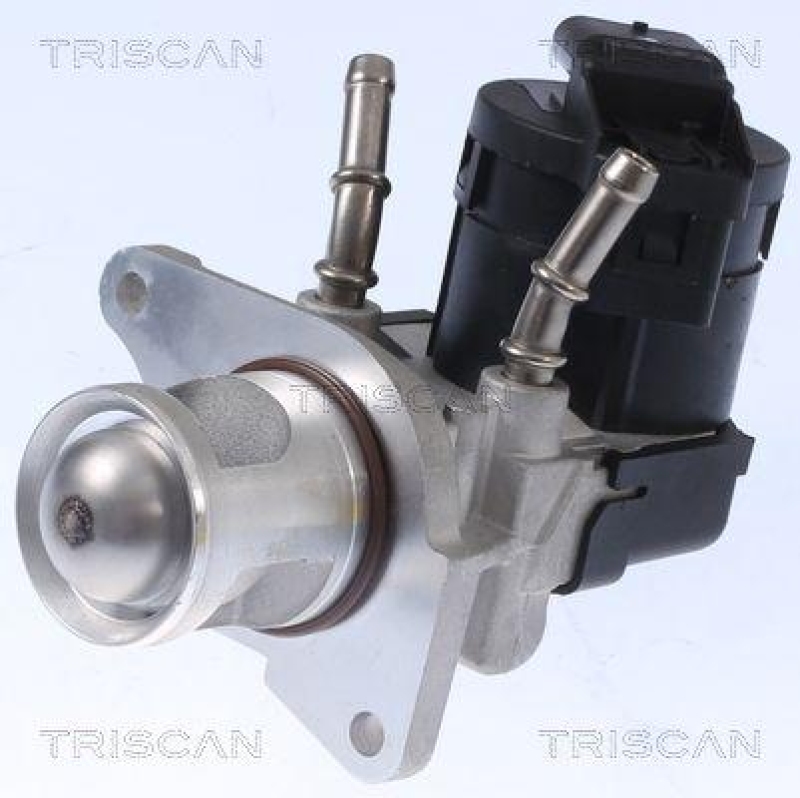 TRISCAN 8813 11001 Agr Ventil f&uuml;r Bmw