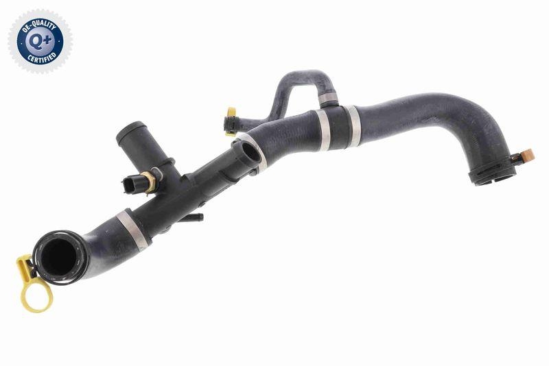 VAICO V41-0037 K&uuml;hlerschlauch f&uuml;r JAGUAR