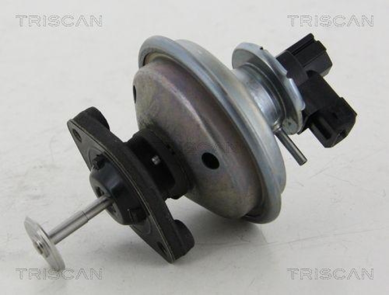 TRISCAN 8813 11002 Agr Ventil f&uuml;r Bmw