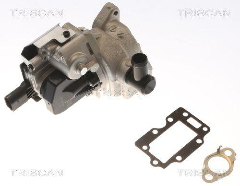 TRISCAN 8813 43054 Agr Ventil f&uuml;r Hyundai I20 D, Kia Rio D