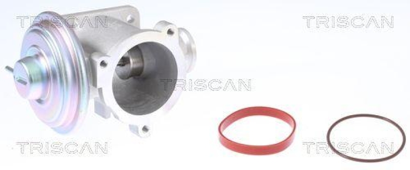 TRISCAN 8813 11003 Agr Ventil f&uuml;r Bmw