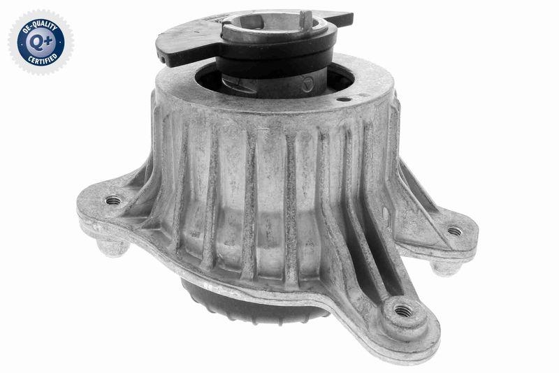 VAICO V30-3094 Lagerung, Motor Hydraulisch, rechts f&uuml;r MERCEDES-BENZ