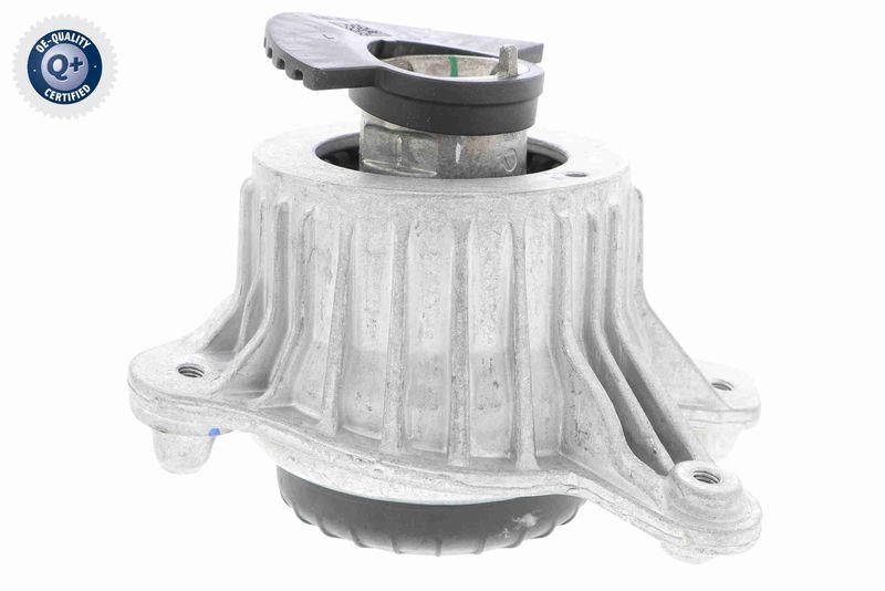 VAICO V30-3098 Lagerung, Motor Hydraulisch, rechts f&uuml;r MERCEDES-BENZ