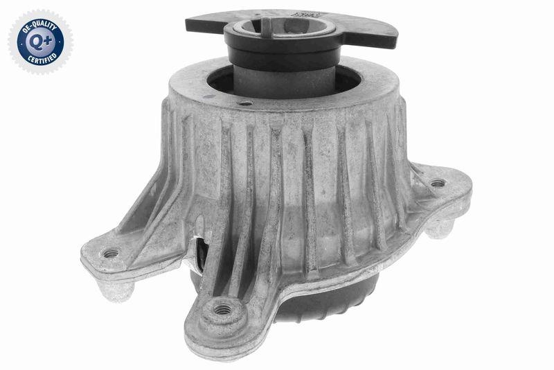 VAICO V30-3099 Lagerung, Motor Hydraulisch, links f&uuml;r MERCEDES-BENZ