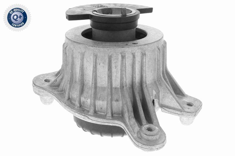 VAICO V30-3100 Lagerung, Motor Hydraulisch, rechts f&uuml;r MERCEDES-BENZ