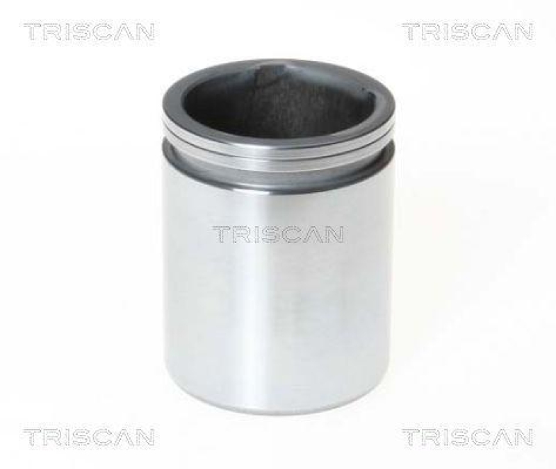 TRISCAN 8170 234610 Kolben f&uuml;r Citroen, Peugeot