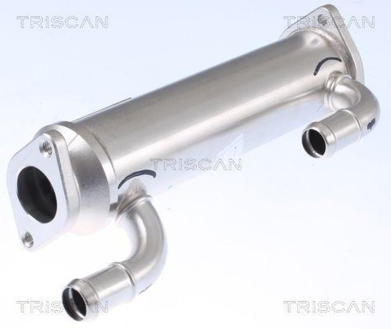 TRISCAN 8813 43105 K&uuml;hler, Abgasr&uuml;ckf&uuml;hrung f&uuml;r Hyundai, Kia