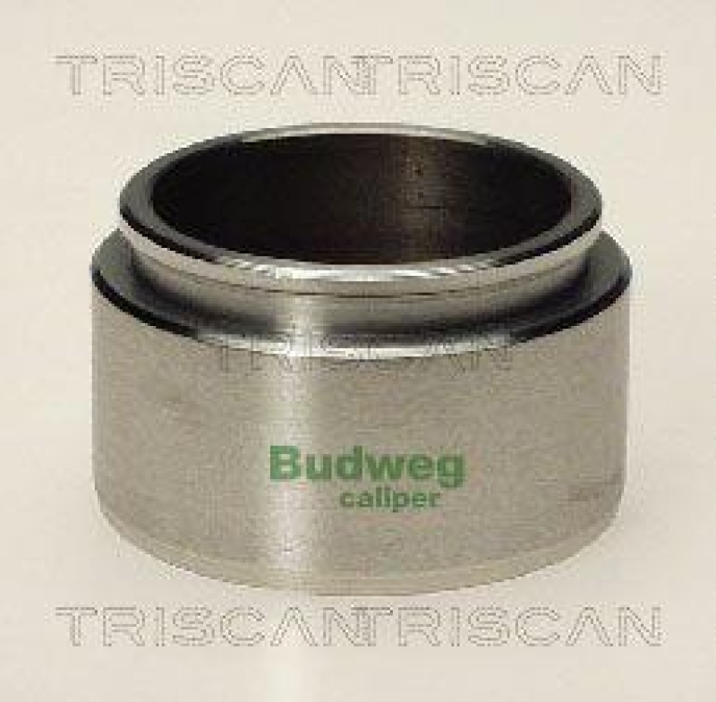 TRISCAN 8170 234801 Kolben f&uuml;r Bmw, Ford, Nissan, Opel, V