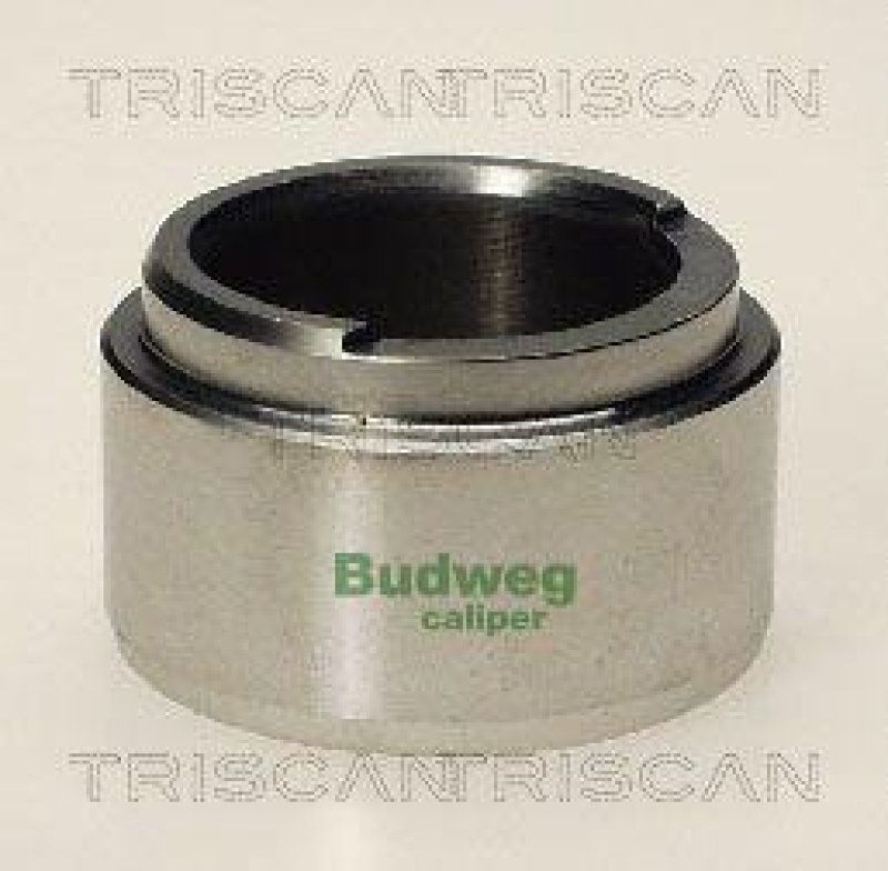 TRISCAN 8170 234803 Kolben f&uuml;r Audi, Bmw, Ford, Opel, Saa