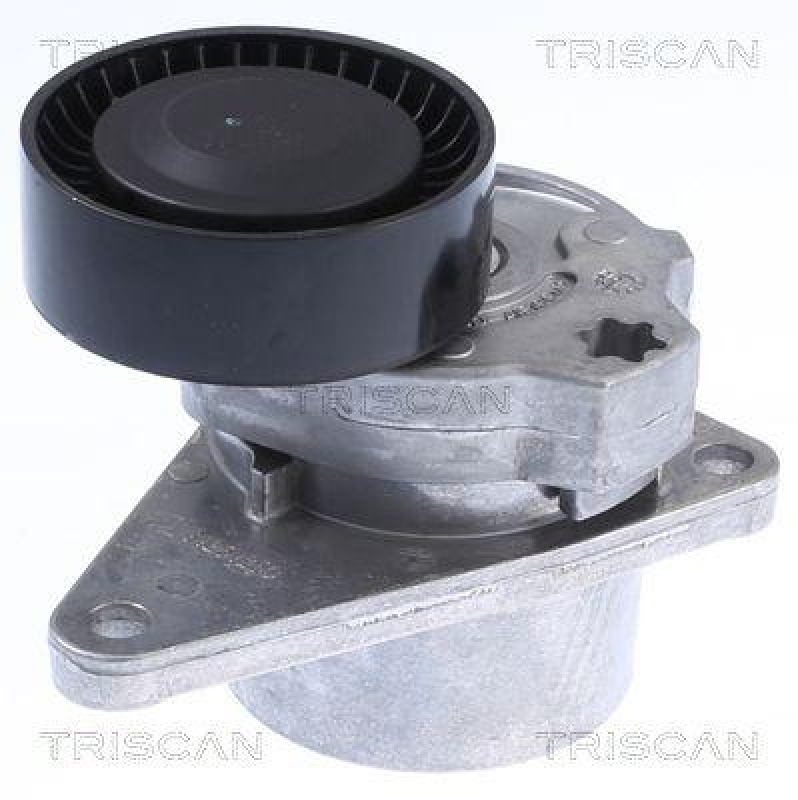 TRISCAN 8641 103010 Riemenspanneinheit f&uuml;r Renault, Volvo