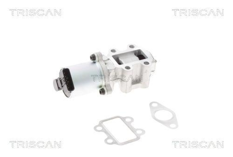 TRISCAN 8813 13101 Agr Ventil f&uuml;r Toyota